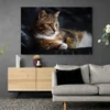 tableau photo chat paysage 3 2 4.webp