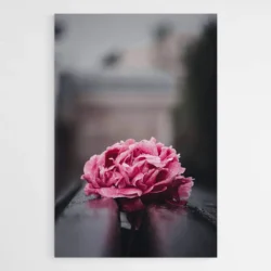 tableau pivoine rose 1.webp