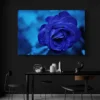 tableau rose bleue paysage 3 2 3.webp