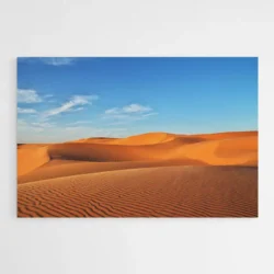 tableau sahara 1.webp