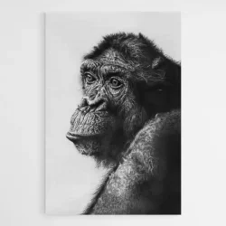 tableau singe noir et blanc 1.webp