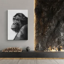 tableau singe noir et blanc portrait 2 3 2.webp