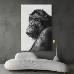 tableau singe noir et blanc portrait 2 3 3.webp