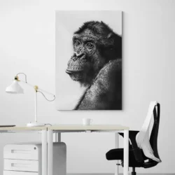 tableau singe noir et blanc portrait 2 3 4.webp