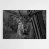 tableau tete de cerf 1.webp