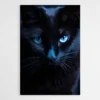 tableau tete de chat 1.webp