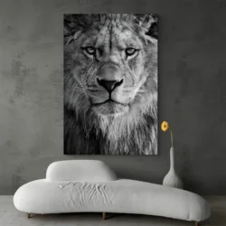 tableau tete de lion noir et blanc portrait 2 3 4.webp