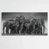 tableau troupeau elephants 1.webp