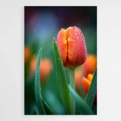tableau tulipe moderne 1.webp