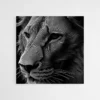 Tableau lion art digital .webp