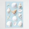 tableau plage coquillages 1.webp