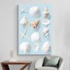 tableau plage coquillages portrait 2 3 2.webp