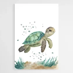 tableau tortue chambre enfant 1.webp